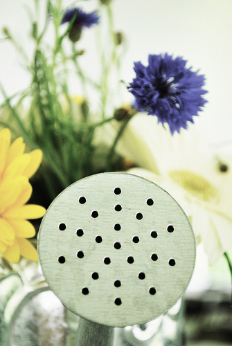 Wedding Centerpieces